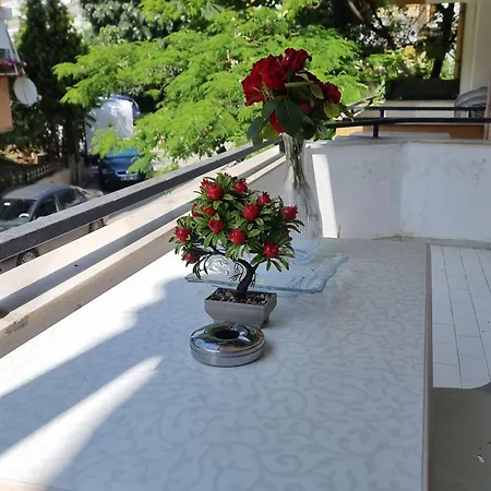 Kerimbey * Gemlik