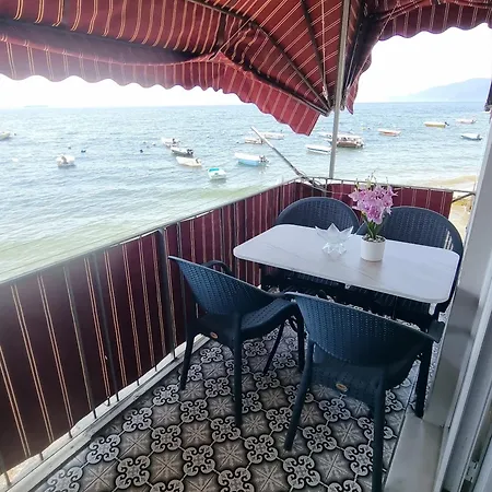 Kerimbey * Gemlik